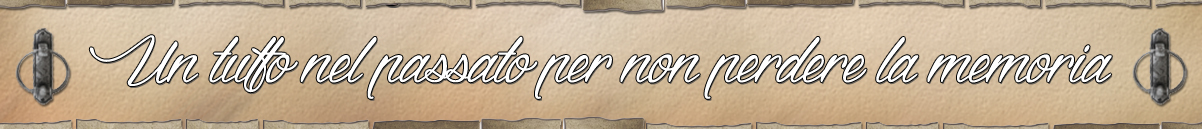 bannerhomeamici